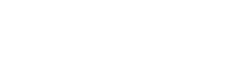 Logo Icon